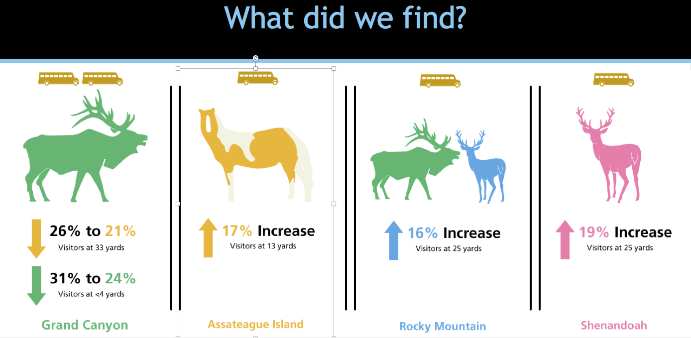 Graphic of findings