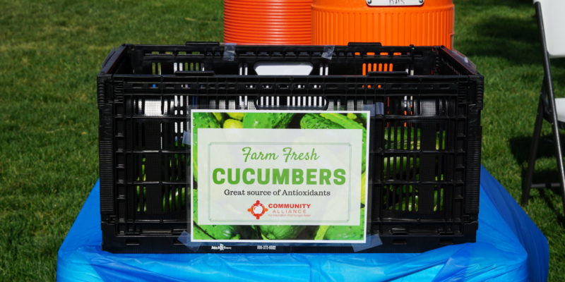 Martinek's example of produce label for cucumbers