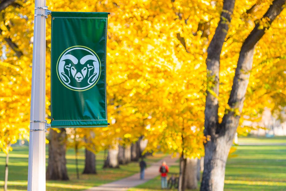 Flag with CSU logo against fall leaves
