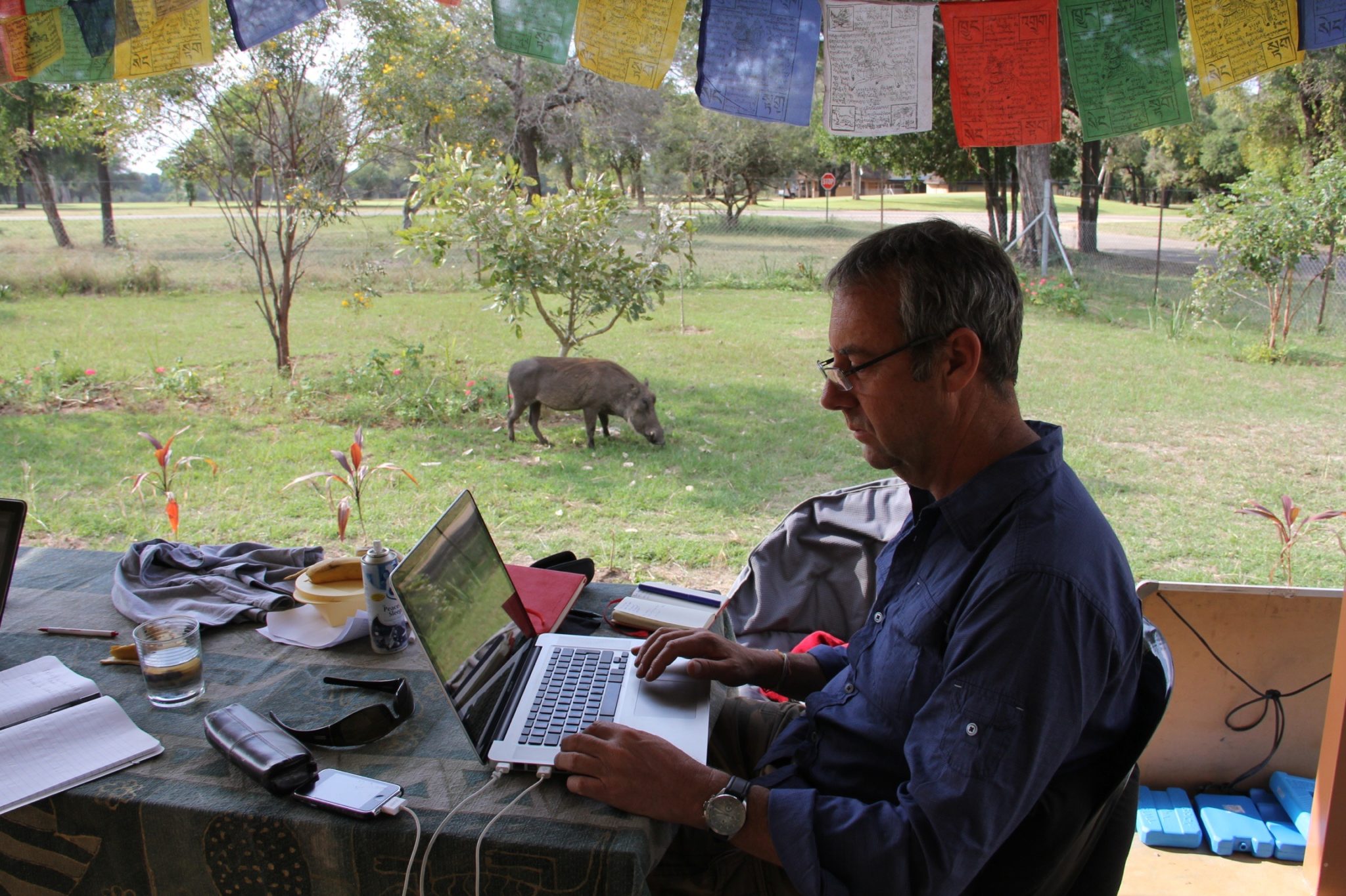 David Bunn on a laptop in South Africa with a Warthog in the background