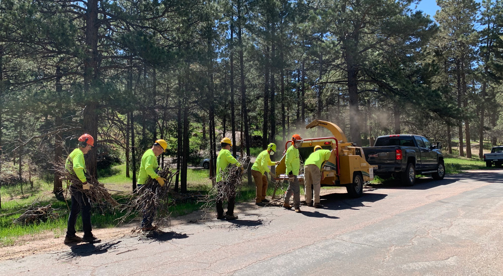 Workers clearing wildfire debris from forests