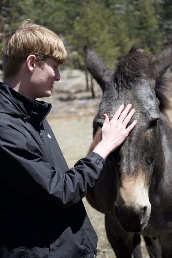 Student tenderly petting a donkey on the head